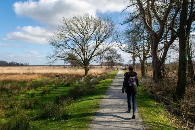 Outdoor trail walking for physical fitness